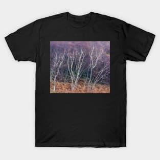 Birches in Breeze T-Shirt